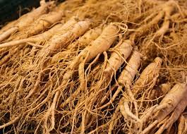 Ginseng-Herbs for Thicker Hair Growth