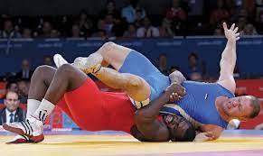Wrestling - Highest Paid Sports in the World (Carrer)