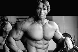 Arnold Schwarzenegger-Richest Bodybuilders In The World