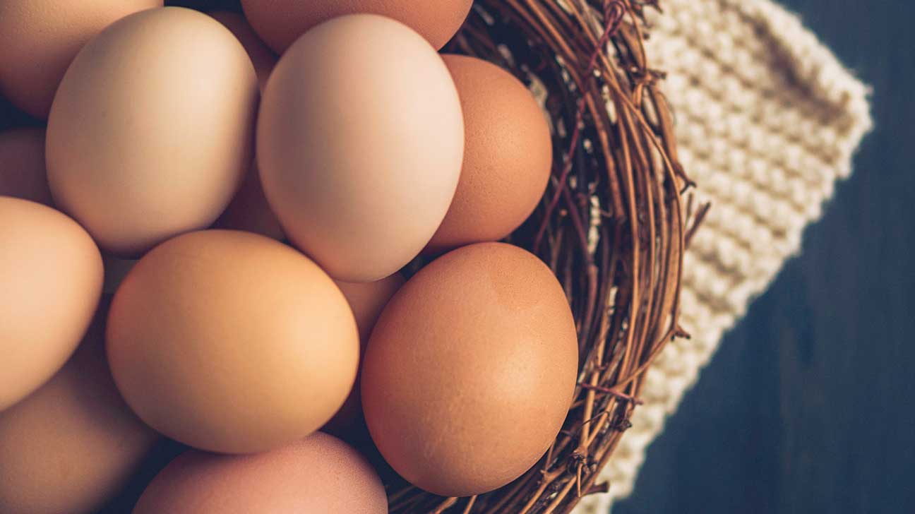 Eggs represent fertility-
