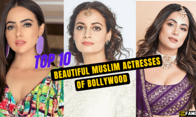 Top 10 Beautiful Muslim Actresses Of Bollywood