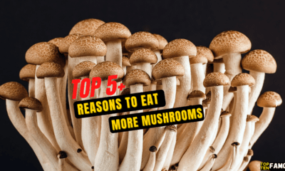 Top 5+ Reasons To Eat More Mushrooms!