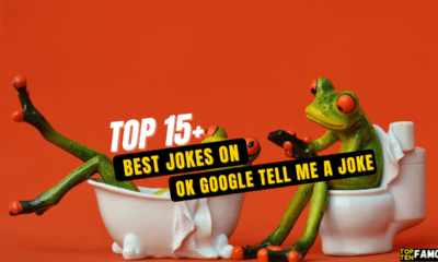 Top 15+ Best Jokes on "OK Google Tell me a Joke"