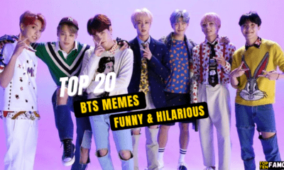Top 20 BTS Memes ( FUNNY & HILARIOUS)
