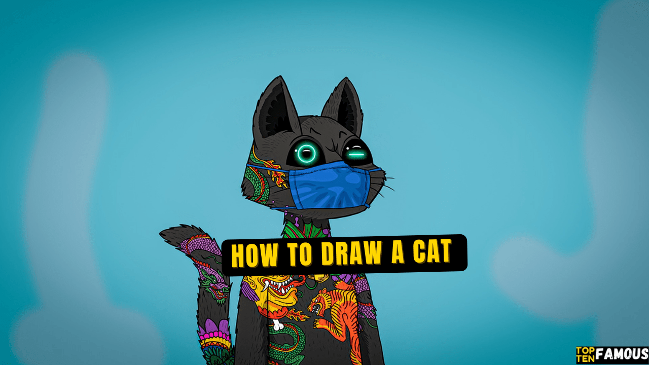 How to Draw a Cat|20 Easy Cat Drawing Ideas (Step-By-Step)