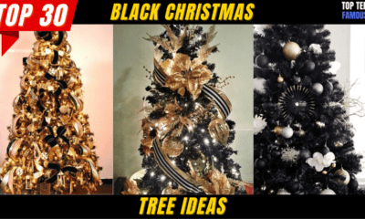 Top 30 Black Christmas Tree Ideas
