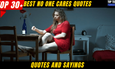 Top 30+ (BEST) No One Cares Quotes and Sayings