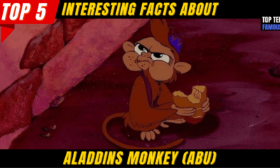 Top 5 Interesting Facts About Aladdins Monkey (Abu)