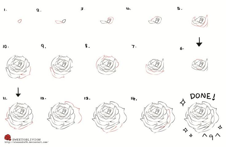 Rose Drawing Ideas | How to Draw a Rose Step By Step
