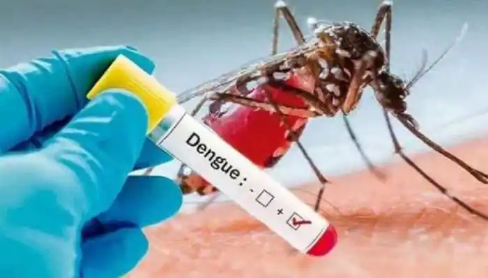 Dengue fever-Worst Dangerous Diseases in the History