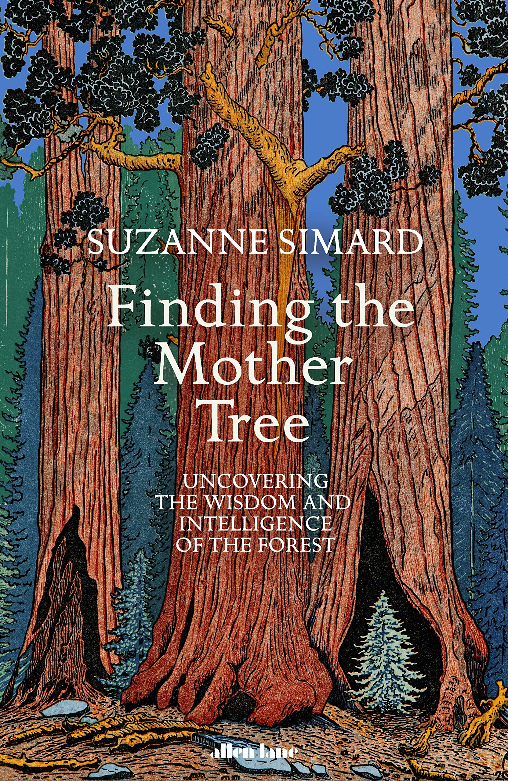 Finding the Mother Tree: Discovering the Wisdom of the Forest, by Suzanne Simard-Excellent & Brilliant Science Books
