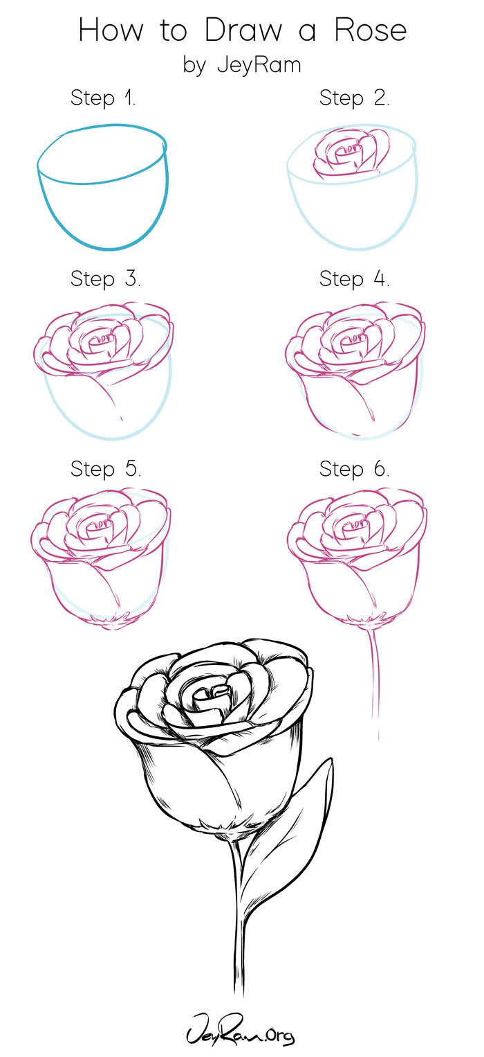 Rose Drawing Ideas | How to Draw a Rose Step By Step