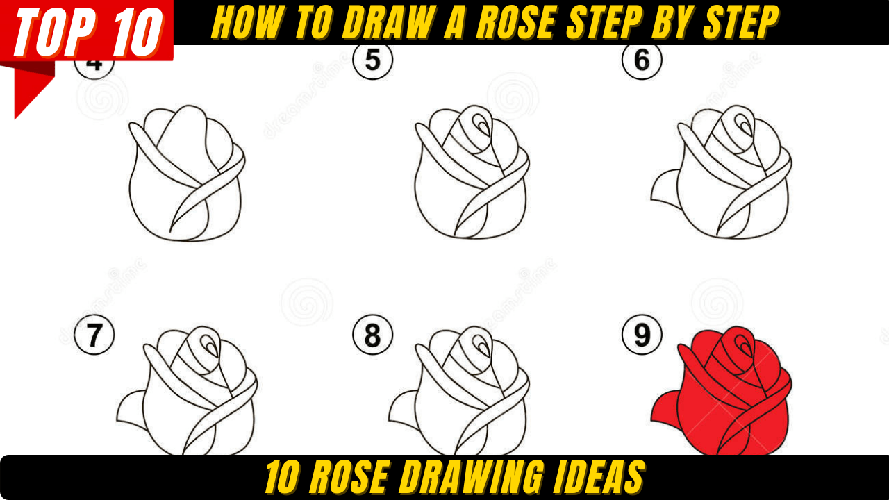 10 Rose Drawing Ideas | How to Draw a Rose Step By Step