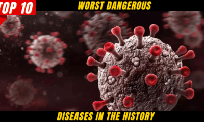 Top 10 Worst Dangerous Diseases in the History