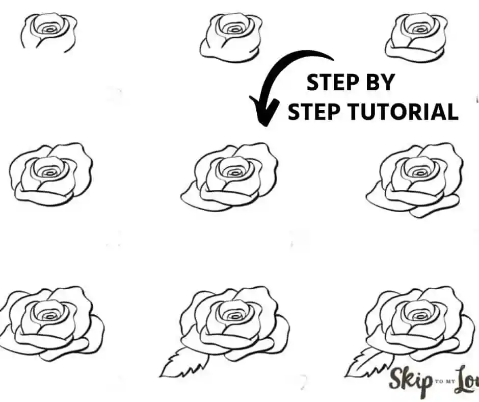 Rose Drawing Ideas | How to Draw a Rose Step By Step