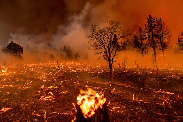 A lost tracker set off one of the greatest woodland fires in California-Most Expensive Mistakes Ever Made in History
