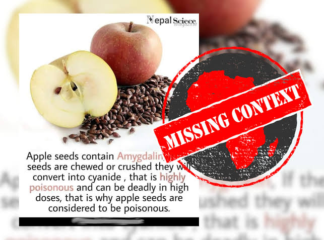 Apple seeds contain cyanide.- Random And Useless Facts