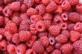 Surprising Facts About Serbia-Raspberry