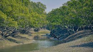 Best Tourist Places to Visit in Bangladesh-The Sundarbans