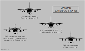 Surprising Facts About The SEPECAT JAGUAR