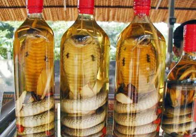 Surprising Facts About Vietnam-They drink snake wine for essentialness