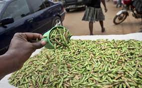 Surprising Facts About Uganda-Seared Grasshoppers Are A Popular Ugandan Delicacy