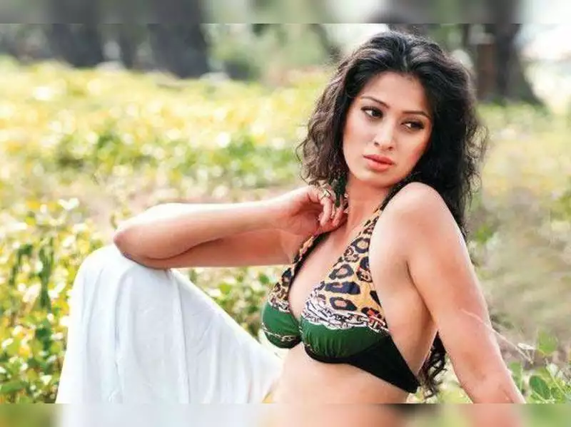  Most Beautiful South Indian Actress-Rai Lakshmi