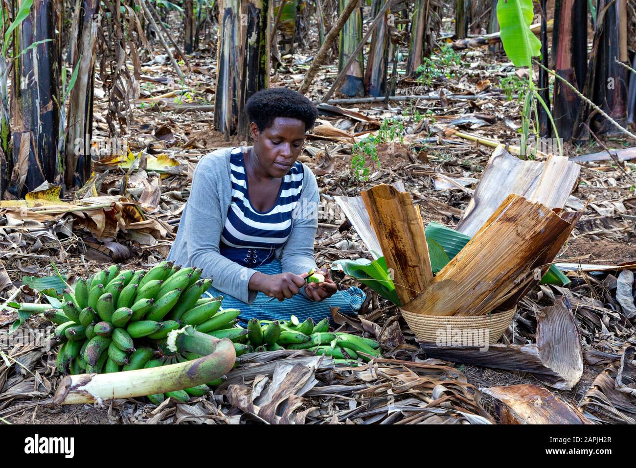 Surprising Facts About Uganda-Uganda Nicknamed Matooke Republic For Its Cuisine