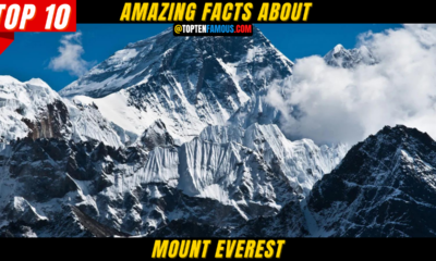 10+ Amazing Facts About Mount Everest