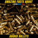 10+ Amazing facts About Guided Bullets