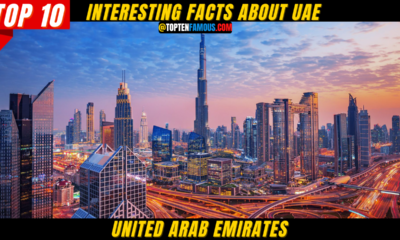 10+ Interesting Facts About UAE