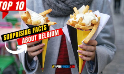 10+ Surprising Facts About Belgium