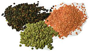 High Protein Foods for the Human Body-Lentils