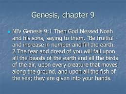 Noah gets bare (Genesis 9)-Absolutely Cringe Stories Found In The Bible