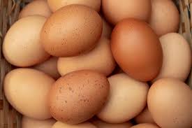 High Protein Foods for the Human Body-Eggs