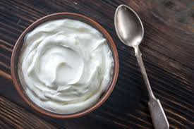 High Protein Foods for the Human Body-Greek yogurt