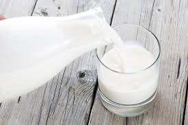 High Protein Foods for the Human Body-Milk