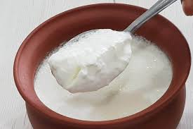 High Protein Foods for the Human Body-Curds