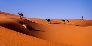 Traveling From The Sea To The Mountains And Into The Desert In Morocco Is Possible-Surprising Facts About Morocco