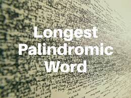 Surprising Facts About Finland-The Longest Palindromic Word Comes From The Finnish Language