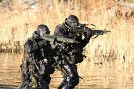  Incredible Facts About Sweden Special Forces (Särsilda Operationsgruppen)