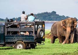 Best Cities In Sri Lanka-Yala National Park