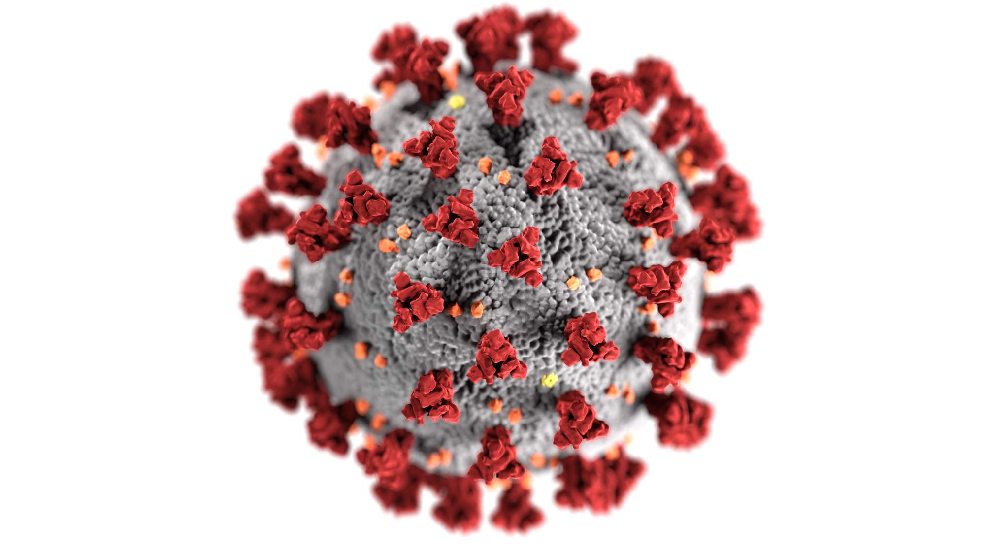 Countries Most Affected By Coronavirus-France