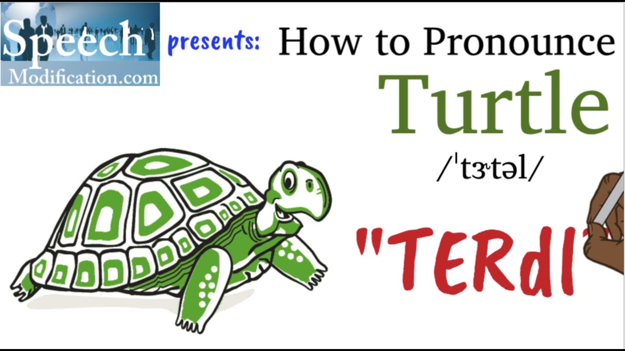 Difficult Words to Pronounce in Arabic-turtle