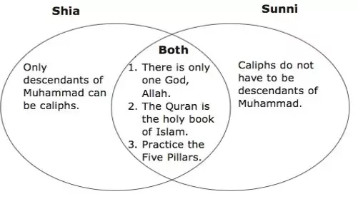 Differences and Similarities Between SHIA and SUNNI Muslims-Shiites and Sunnis Follow Different Religious Hierarchies.