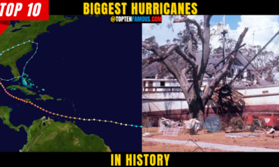 10 Biggest Hurricanes In History