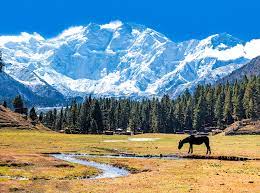 Biggest Reasons People Love Pakistan-Nanga Parbat