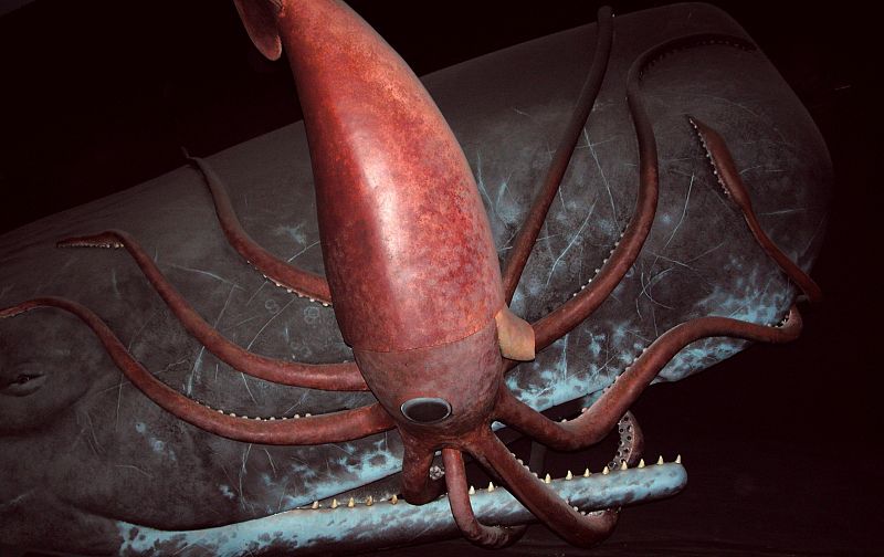 Biggest Organisms On Earth-Epic Squid - (Mesonychoteuthis hamiltoni)