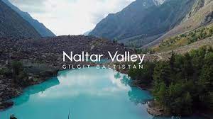 Biggest Reasons People Love Pakistan-Naltar valley