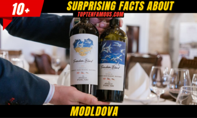 10+ Surprising Facts About Moldova